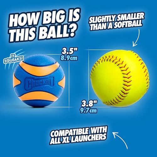 Chuckit! Ultra Ball Dog Toy - Size Large - For Dogs 60-100 lbs - Made from Durable Rubber - Super Bouncy - Floats in Water - 3-inch Diameter - Pack of 1