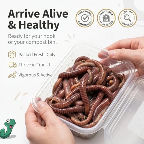 Live PANFISH European Nightcrawlers Composting Worms Fishing Worms