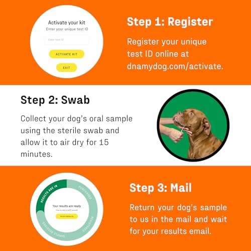 DNA My Dog Premium Dog DNA Test – Identify 350+ Breeds | Genetic Health & Trait Screening | Wolf DNA & Genetic Age | Easy At-Home Cheek Swab