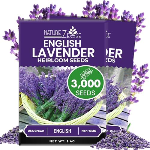 NatureZ Edge1500 English Lavender Seeds for Planting Outdoors or Indoors, 90% Germination, Lavender Plants, Non-GMO, Heirloom Herb Seeds (1 Pack)
