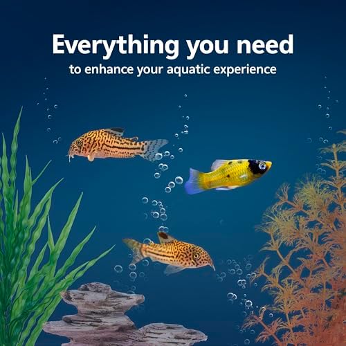 Aqueon Aquarium Fish Tank Starter Kit with LED Lighting 10 Gallon Fish Tank