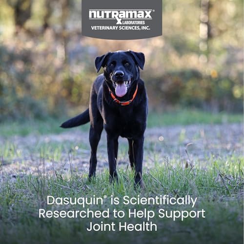 Nutramax Dasuquin Joint Supplement, Small/Med Dogs, Soft Chews, 84ct | Glucosamine and Chondroitin Joint Health Supplement for Dogs under 60 lbs, Soft Chews, With ASU, All Ages