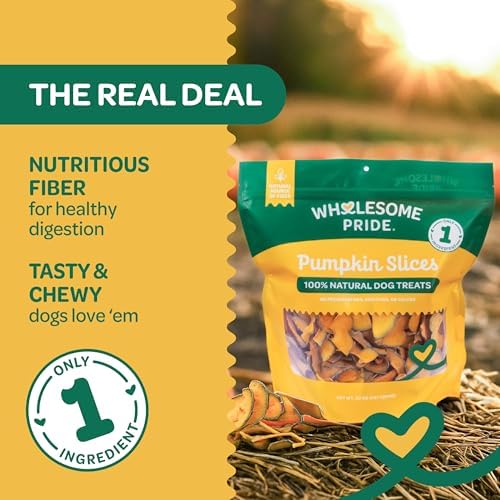 Wholesome Pride Banana Bites Dog Treats – 2-Ingredient Banana Chips for Dogs, Grain-Free, Banana & Coconut Oil, 8 oz