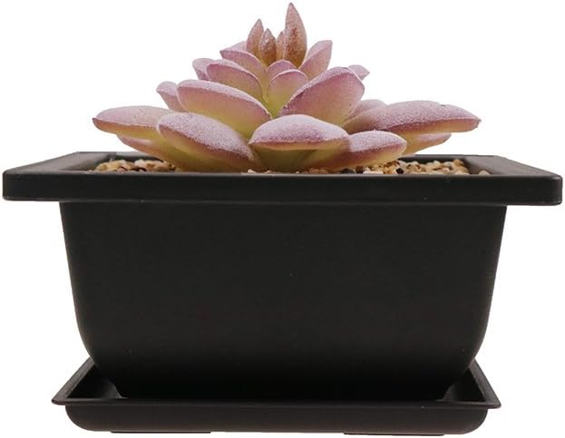 MUZHI 6PCS/Pack Retro Style Basin Plastic Flower Pot 6.5 Inch Flower Bonsai Tree Plant Bowl Nursery Pots Maceta Cuadrada Simulational Purple Sands Pots with Tray Rectangle Small