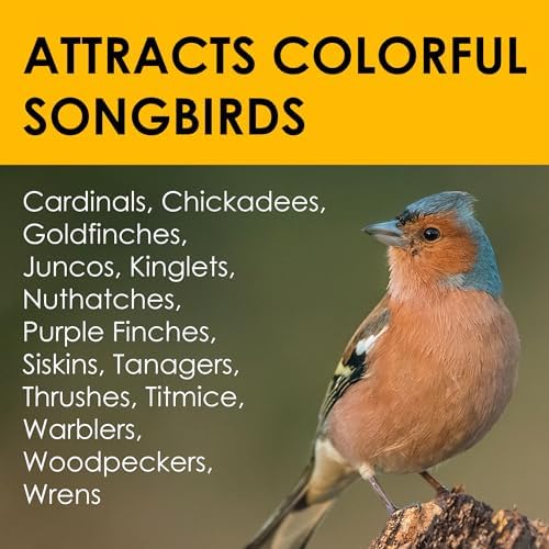 Heath Outdoor Products birds DD4-10 All Season High Energy Suet Cake, Case Of 10