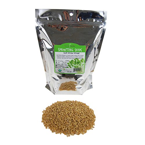 Soft White Wheat - Organic - Handy Pantry Brand - Perfect for Food Storage, Flour, Baking, Sprouting & More (35Lb)