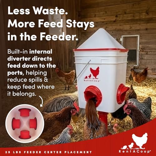 RentACoop 25lb Chicken Feeder with 4 Large Ports - Center Placement
