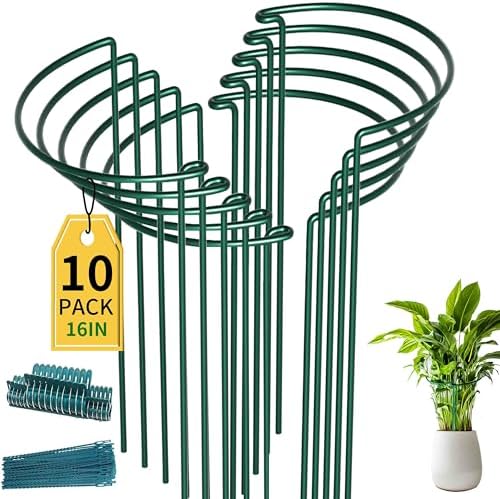 TCBWFY 10 Pack Garden Plant Support Stakes, 10" Widex16 High Heavy Duty Interlinked Half Round Peony Support Ring Cage for Indoor Outdoor Plants