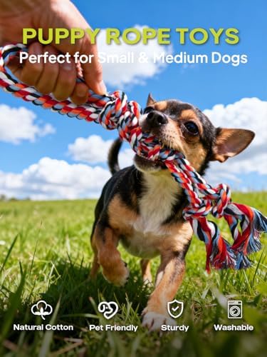 TwoEar Dog Rope Toy 4 Pack - Puppy Teething Toys for Small Breed