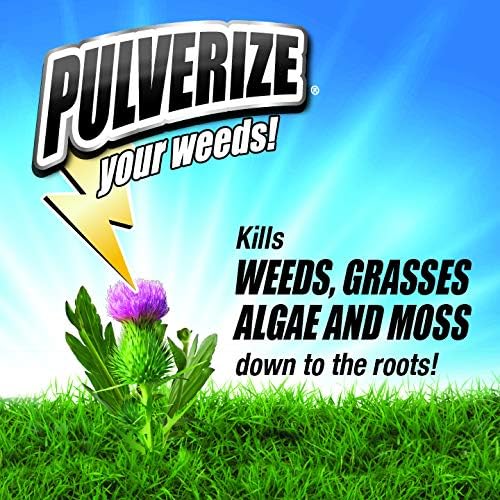 PWG-B-128-S Grass Ready to Use Weed Killer, 128 Fl Oz (Pack of 1), Clear