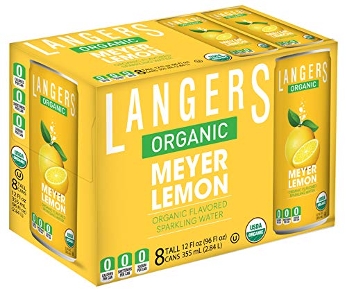 Langers Organic Flavored Sparkling Water, Ginger, 12 Fl Oz (Pack of 8)