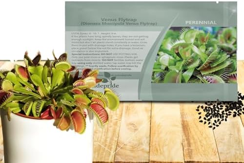 Outsidepride Venus Flytrap Seeds - 20 Pcs Perennial, Unique & Carnivorous, Indoor Plant Seeds for House Plants, Easy to Grow & Low Maintenance