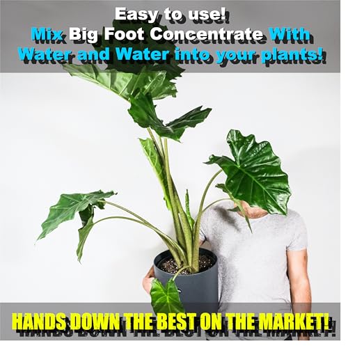 Big Foot Mycorrhizae for Plants, Potted Plants and Gardens - Concentrate Fully Dissolves in Water, Year Round Organic Fertilizer for Root Growth and Healthy Soil - 32 Ounces of Mycorrhizal Inoculant