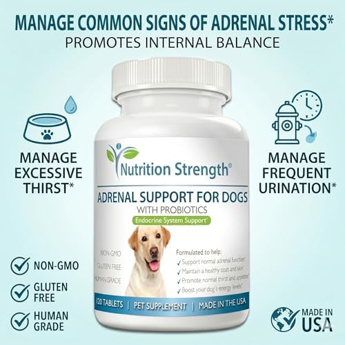 Adrenal Support for Dogs with Cushing's Disease | Maintain a Healthy Coat and Skin | Promote Normal Urination