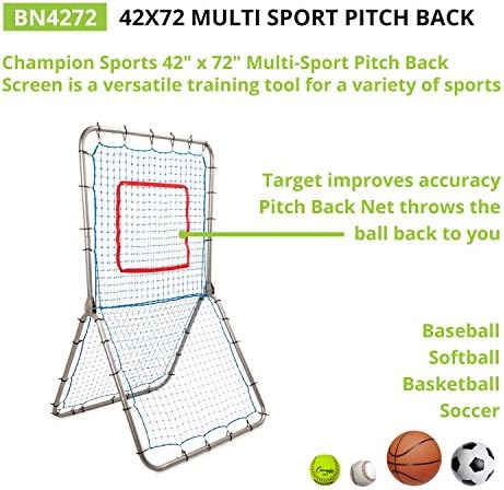 Champion Sports Pitchback Net & Rebounder – Baseball & Softball Multi-Sport Training Screen with Strike Zone Target