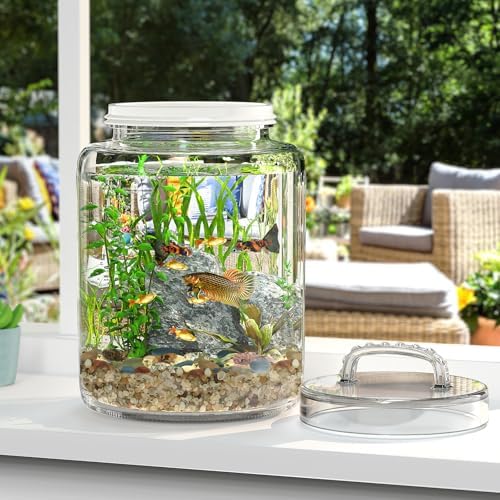 3 Gallon Glass Jar with Airtight Lid, Wide Mouth Large Glass Container