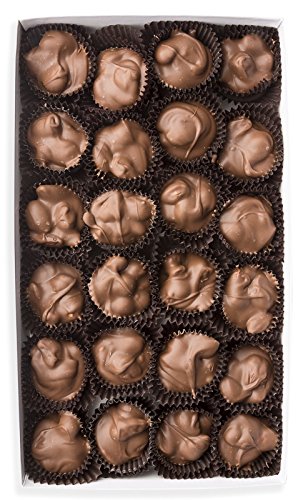 Mrs. Cavanaugh’s 1 lb Almond Clusters Dark Chocolate