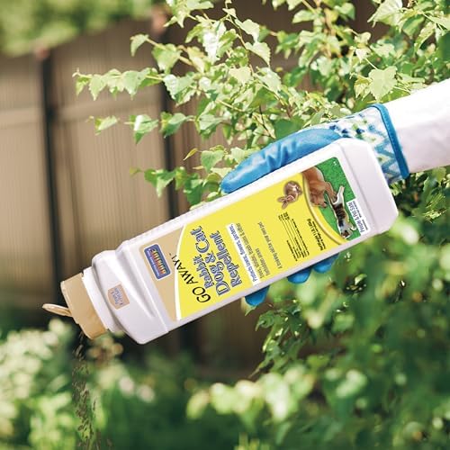 Bonide Go Away! Rabbit, Dog, & Cat Repellent Granules, 3 lbs Ready-to-Use, Keep Dogs off Lawn, Garden, Mulch & Flower Beds | Ready-to-Use, Keep Dogs off Lawn, Garden, Mulch & Flower Beds