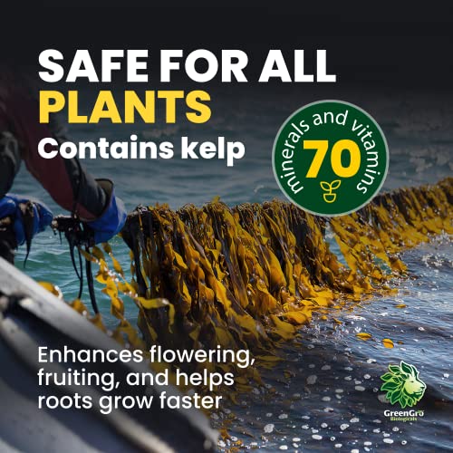 GreenGro Granular Plus Myco All-in-One Fertilizer with Kelp | Humic Acid, Organic Root Stimulator, Plant Food, Mycorrhizae, Indoor & Outdoor Gardens