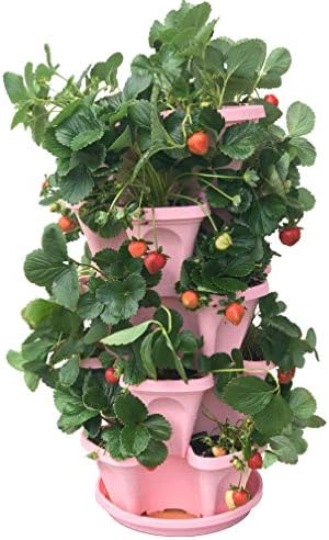 Mr. Stacky 5-Tier Pink Strawberry and Herb Garden Planter - Stackable Gardening Pots with 10 Inch Saucer