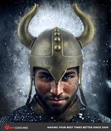 Nicky Bigs Novelties Viking Helmet with Horns, Bronze Costume Accessory