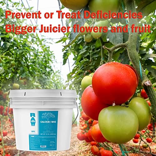 RAW Calcium/Mag 2oz - Essential Combo for Plant Health - Boosts Cell Strength and Nutrient Uptake
