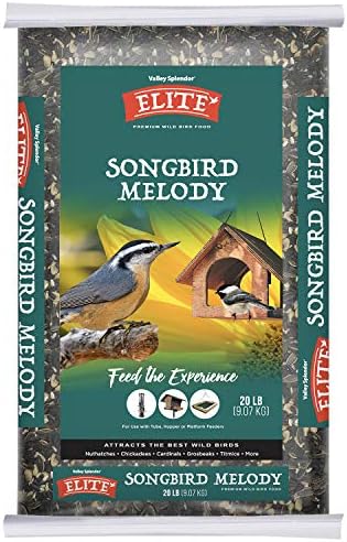 Songbird Melody