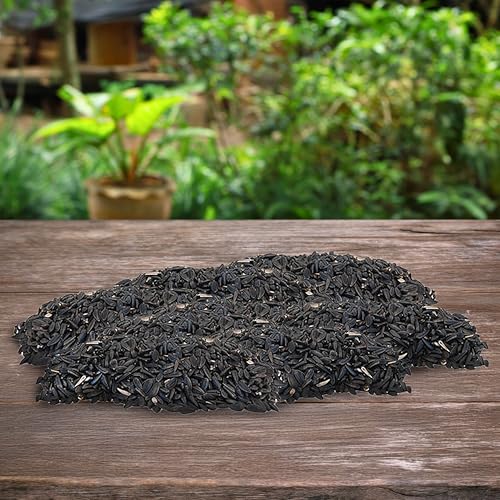 Black Oil Sunflower Seed, 40 lbs.