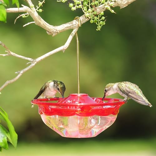 Aspects Mini HummBlossom Hummingbird Feeder, 4 oz, Rose (2-Pack)