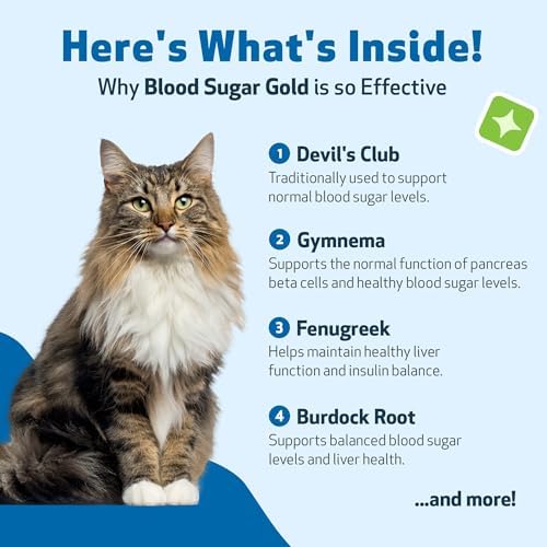 Pet Wellbeing Blood Sugar Gold for Cats - Blood Sugar Support, 2 oz | NASC Certified & Vet-Formulated Liquid Blood Glucose Supplement with Gymnema & Devil’s Club for Insulin & Pancreatic Support
