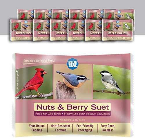 Blue Seal Nuts & Berry Suet Cakes for Wild Birds - No Mess Suet Feed, Food for Woodpeckers, Cardinals, Siskins, Sparrows & More - 11oz Suet Feeder