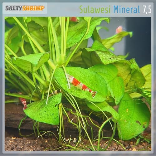 Sulawesi 7,5 Minerals and Trace Elements Cardinal Shrimp Tank (110g)