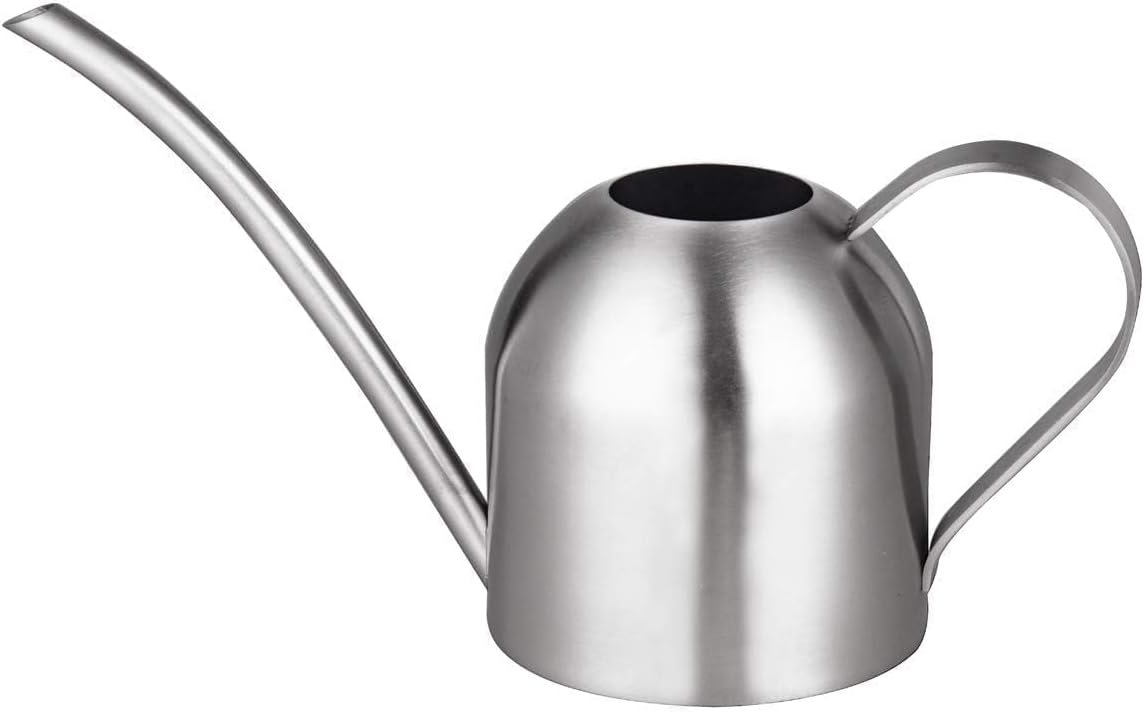 IMEEA Indoor Watering Can for House Plants 33oz/1L Brushed Stainless Steel Watering Can with Long Spout for Succulents, Bonsai