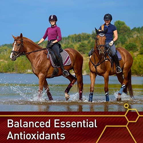 Vita Flex Pro E & Selenium Supplement for Horses, 320-Day Supply | Vitamin E & Selenium Powder, Balanced Antioxidants, Equine Vitamin E Supplement