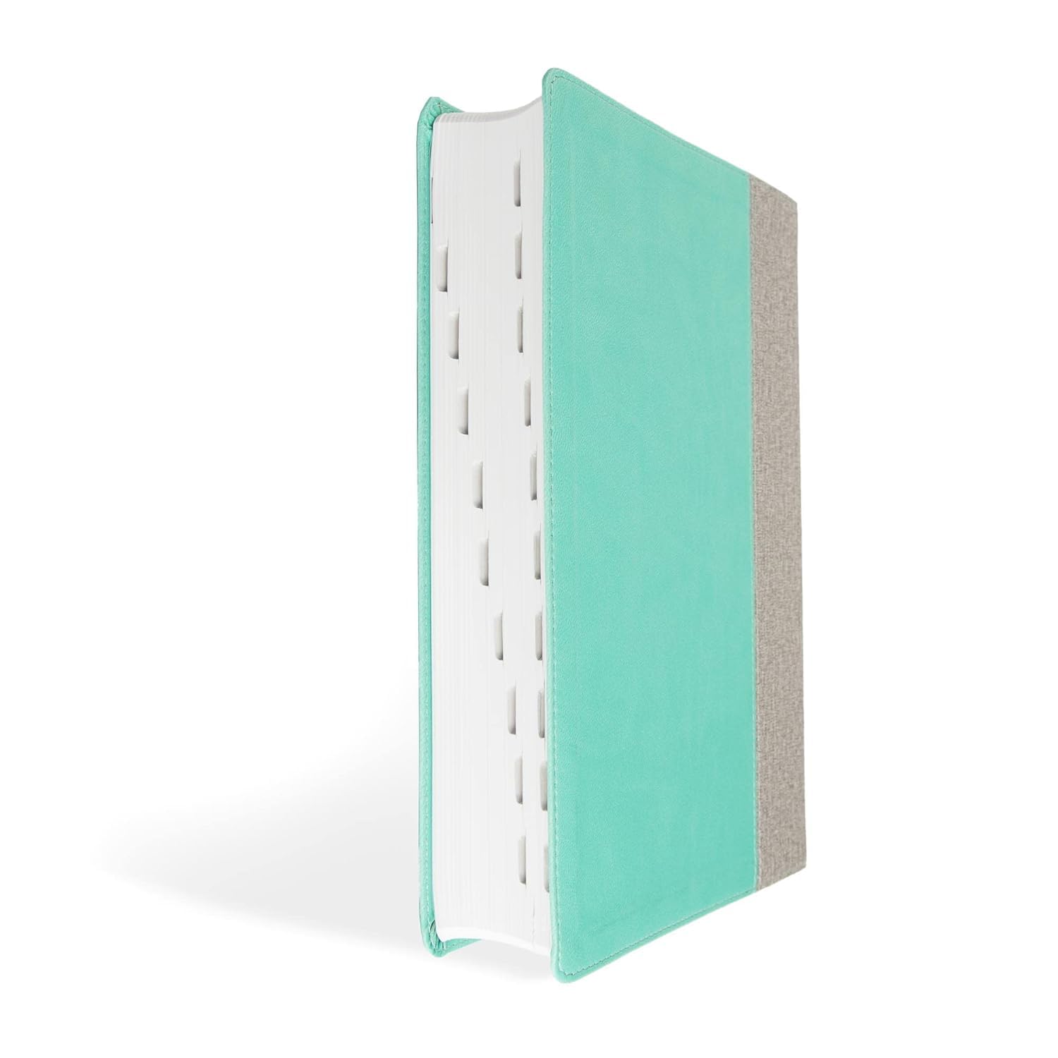 CSB Lifeway Women's Bible, Gray/Mint LeatherTouch, Indexed, Black Letter, Single-Column, Wide-Margins, Devotions, Articles, Word Studies