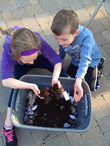 1000 Red Wigglers Composting Worms VERMI Indoor Compost Worm castings Live