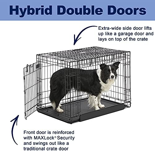 MidWest Homes for Pets Medium Ovation Double Door 30-inch Folding Metal Dog Crate, Front and Up & Away Side Doors, Space-Saving Design