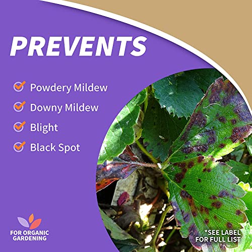 Bonide Captain Jack's Copper Fungicide, 32 oz Ready-to-Use Spray for Organic Gardening, Controls Common Diseases | For Organic Gardening, Controls Common Diseases on Plants