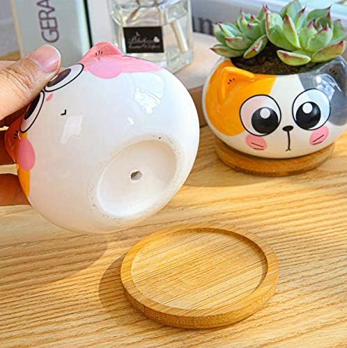 Cuteforyou Succulent Pots,Cute Animal Shaped Cartoon Ceramic Succulent Cactus Flower Planters -Plant Not Included，Cat