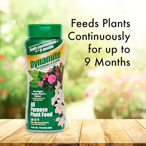 BLACK (GOLD) KOW Dynamite 2 lb All Purpose 9 Month Plant Food-(887763) | Provides 9 months of continuous feeding, contains essential micronutrients
