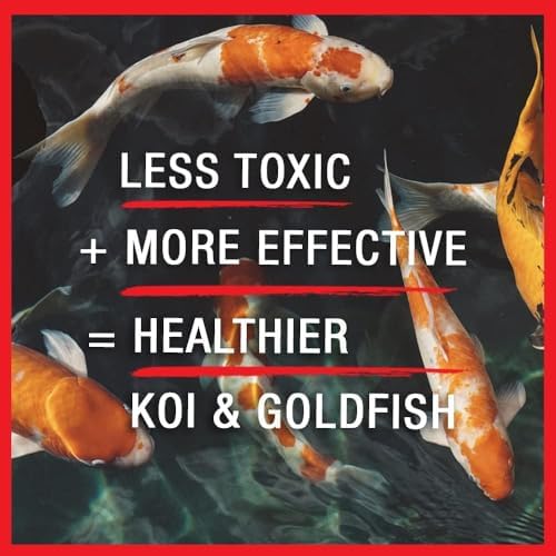 MICROBE-LIFT BSDT16 Broad Spectrum Disease Treatment for Ponds and Outdoor Water Garden, Safe for Live Koi Fish, Goldfish, Plants, and Decor, 16 Fl Oz