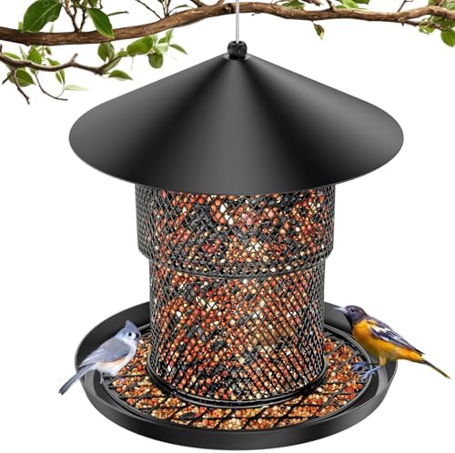 Bird Feeder for Outdoor Hanging