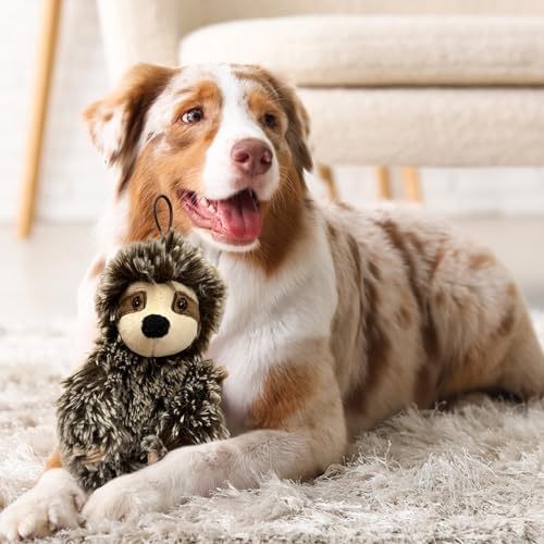 Multipet Sitting Sloth Dog Plush Toy - Squeaky Toy for All Dogs - Extra Soft Plush - Stuffed Animal for Cuddling & Playing - Cute Jumbo Pet Toy (14")