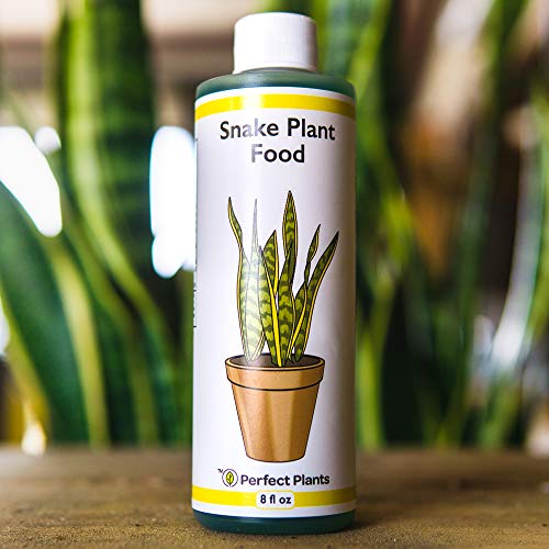 Perfect Plants Gardenia Liquid Fertilizer, 8 oz, Bloom Boost Plant Food