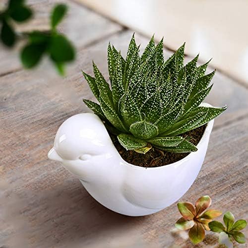 GeLive White Cow Succulent Pot, Small Ceramic Animal Planter with Drainage Hole & Saucer for Cactus, Mini Air Plants, Pencil Holder Brush Organizer, Indoor Home Office Desk Decor, Funny Gift