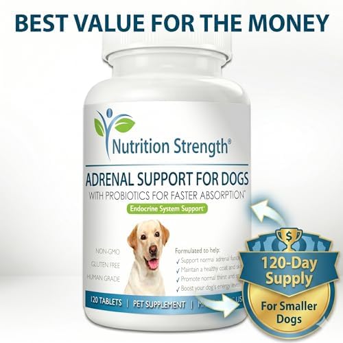 Adrenal Support for Dogs with Cushing's Disease | Maintain a Healthy Coat and Skin | Promote Normal Urination