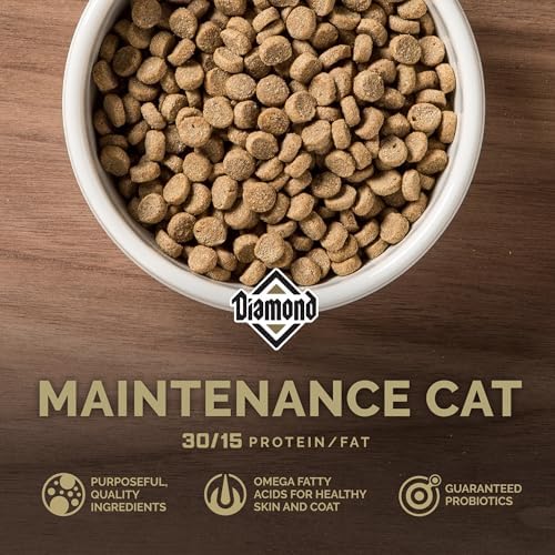 Diamond Maintenance Adult Dry Cat Food, Chicken Protein, 20lb | For Moderately Active Cats | Omega Fatty Acids to Help Support Skin & Coat Health | Taurine for Heart & Eye Health