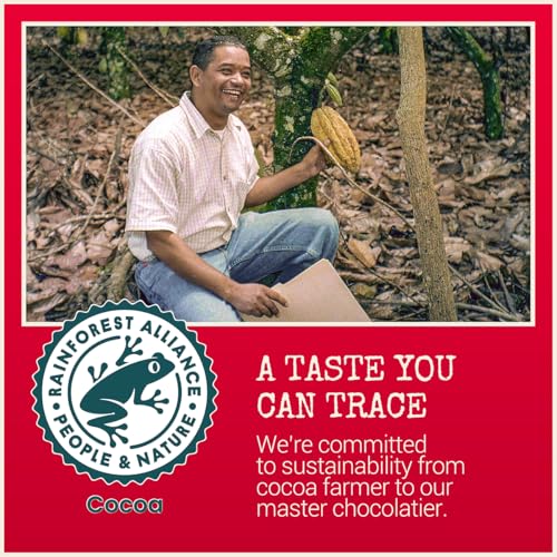 Chocolove Cherry & Almonds Dark Chocolate Bars | 55% Cocoa | Infused with Real Cherries & Crunchy Almonds | Crafted with Premium Chocolate | 3.2 oz Bar (12 Pack)