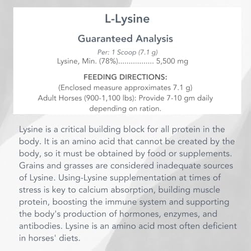 MVP L-Lysine (10lb) for Equine Muscle/Immune Support