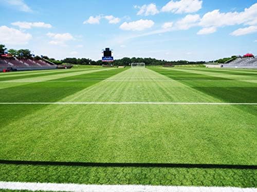 Barenbrug Turf Blue Healthy Grass Technology Grass Seed with Yellow Jacket Coating - Heavy Traffic Seed for Use on Sports Fields, Golf Courses, Parks